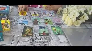 ✨️YOU'RE NOT GOING TO BE ALONE FOR MUCH LONGER, IT'S YOUR TURN✨️Timeless,Collective,urdu,tarot read
