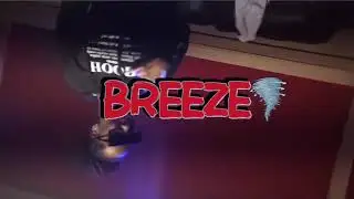 We paid freestyle