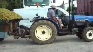 Traubenernte Jalon 1