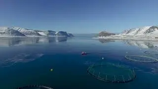 Fish farming laws in Iceland