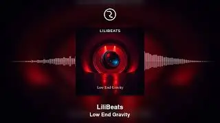 🎧Low End Gravity🎧
