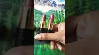 NY BAE AFFORDABLE NUDE LIPSTICK (peppy pearson 1 and impeccable isabella 15)