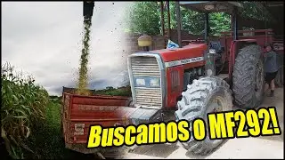 BUSCAMOS REFORÇO! CHEGOU O MASSEY FERGUSON 292 TURBO PARA AJUDAR NA SILAGEM! MILHO TA TOP!