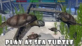Ultimate Ocean Simulator (by Gluten Free Games) - Part 5 - Android Gameplay [HD]