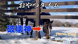 画伯【ワンダーアキュート】全然動じず！？52選これまでの総集編vol.4