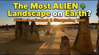 The Most ALIEN Landscape on Earth? 🌵 Pinnacles Sunset & Stargazing Tour