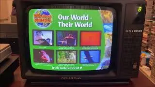 Vintage 1980's Crt monitor (Full Review 2023)