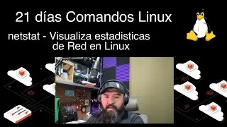 D&iacute;a 19 - Aprende el comando netstat para ver estadisticas de Red en Linux