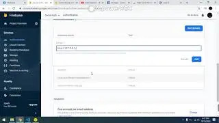 Domain Change Firebase Authentication