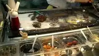 gelato show
