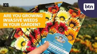 Invasive Garden Weeds - Behind the News
