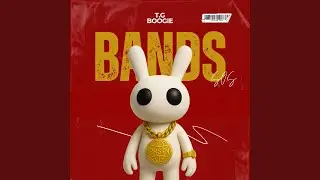 BANDS (S.O.S)
