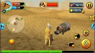 Cheetah Family Sim 3D Android Gameplay HD #13