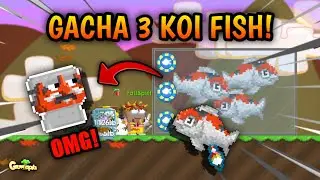 TRAINING 3 KOI FISH (What did I got?) | Growtopia - TRAINING KOI FISH #3