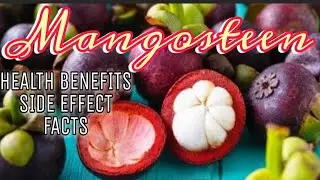 MANGOSTEEN: HEALTH BENEFITS, FACTS AND SIDE EFFECT.