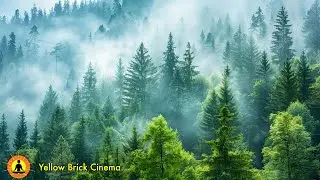 Музыка для медитации, Расслабляющая Музыка, Музыка для снятия стресса, Нежная Музыка, ☯