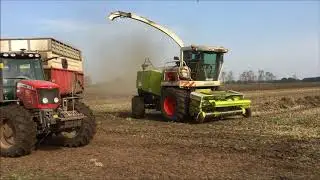 Vezelhennep hakselen door Dun Agro uit Oude Pekela