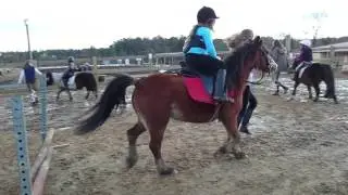 Cours de saut débutant chute !!