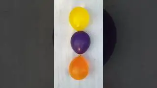 Yellow Purple Orange Colour Water Balloons Popping Reverse Satisfying ASMR Video #satisfying #belon