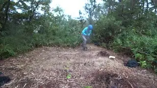 Nature Wonderland; digging a groove on the hilltop to plant underground stems with roots 20251026