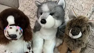 Essa Vlog! (Christmas Addition)
