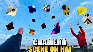 Looting & Rolling Others Kites🤩|| Beautiful Articel kite Flying 🥵|| Toch And Go Waly Paich !