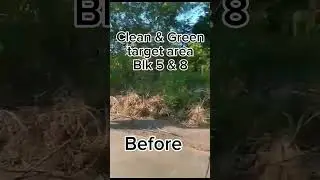 CPAG Heritage volunteers/Clean&Green/May 6, 2023/Blueberrycares