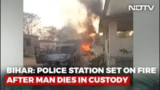 Bee Attack Killed Man In Custody, Say Bihar Police. Violence Breaks Out