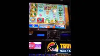 Max bet big win summer solstice slot machine
