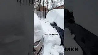 Подснежник и Снеговик в Москве #юмор