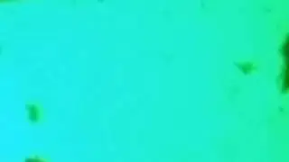 Demo 0425 (MoreCaffeine)