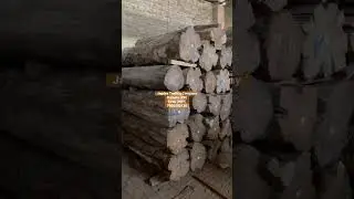 Wholesaler of premium quality Teak wood logs or Sagwan wood (Mp teak , Sudan teak , Burma quality )