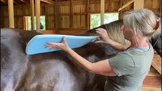 Shoulder Relief with Skito Pads - Prevent Saddles from Sliding Back