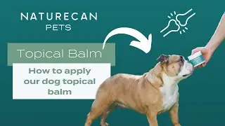 CBD Topical Balm for Dogs: How to apply?