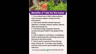 Benefits of Tulsi for the home🏠#shortsfeed #viralshorts #viralvideo #ytshorts #shorts#viral#trending