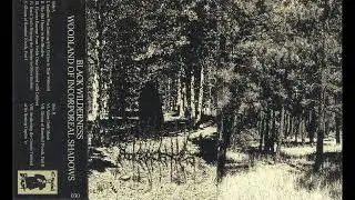 Black Wilderness (US) - Woodland of Incorporeal Shadows (Album 2025)