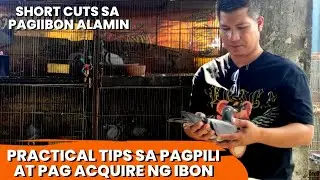 PILI PILI NA BAKA MAUBUSAN..