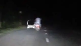 Tiger attacks Man