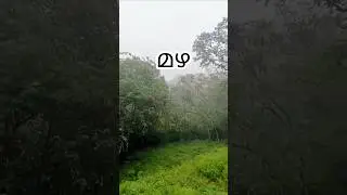Monsoon Rain in Kerala #monsoon2025 #keralamonsoon