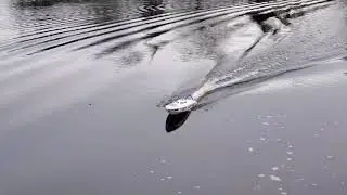 COLD DAY AT THE LAKE