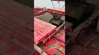 ⚓Bulk carrier loading in 20 sec ⏱️ #shorts