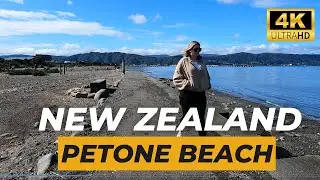 4k 🔴Walking Tour  Petone Beach - New Zealand