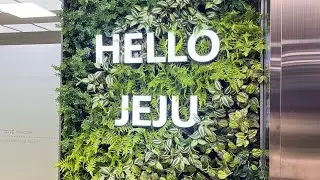 Taiwan to Jeju, South Korea Travel Requirements 