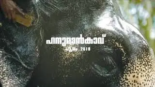 Pooram njangade 💪🏻Hanumakavu pooram promo video 2k18✌️