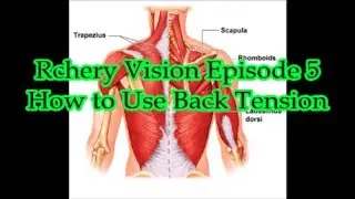 How to Hold Steadier With Back Tension (Rchery Vision Episode 5)