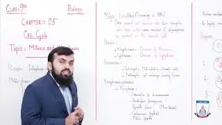 Class 9 - Biology - Chapter 5 - Lecture 2 Topic Mitosis (Till Prophase)  - Allied Schools
