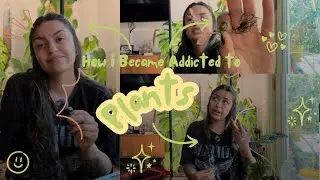 How I Became Addicted to Plants: The Origin Story 🌱