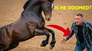 Farmer buys an AGGRESSIVE, untrainable HORSE- Until the horse does this to him!