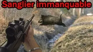 Tir d'un Sanglier immanquable !!! [GOPRO]