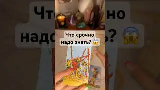 Что срочно надо знать? 😱